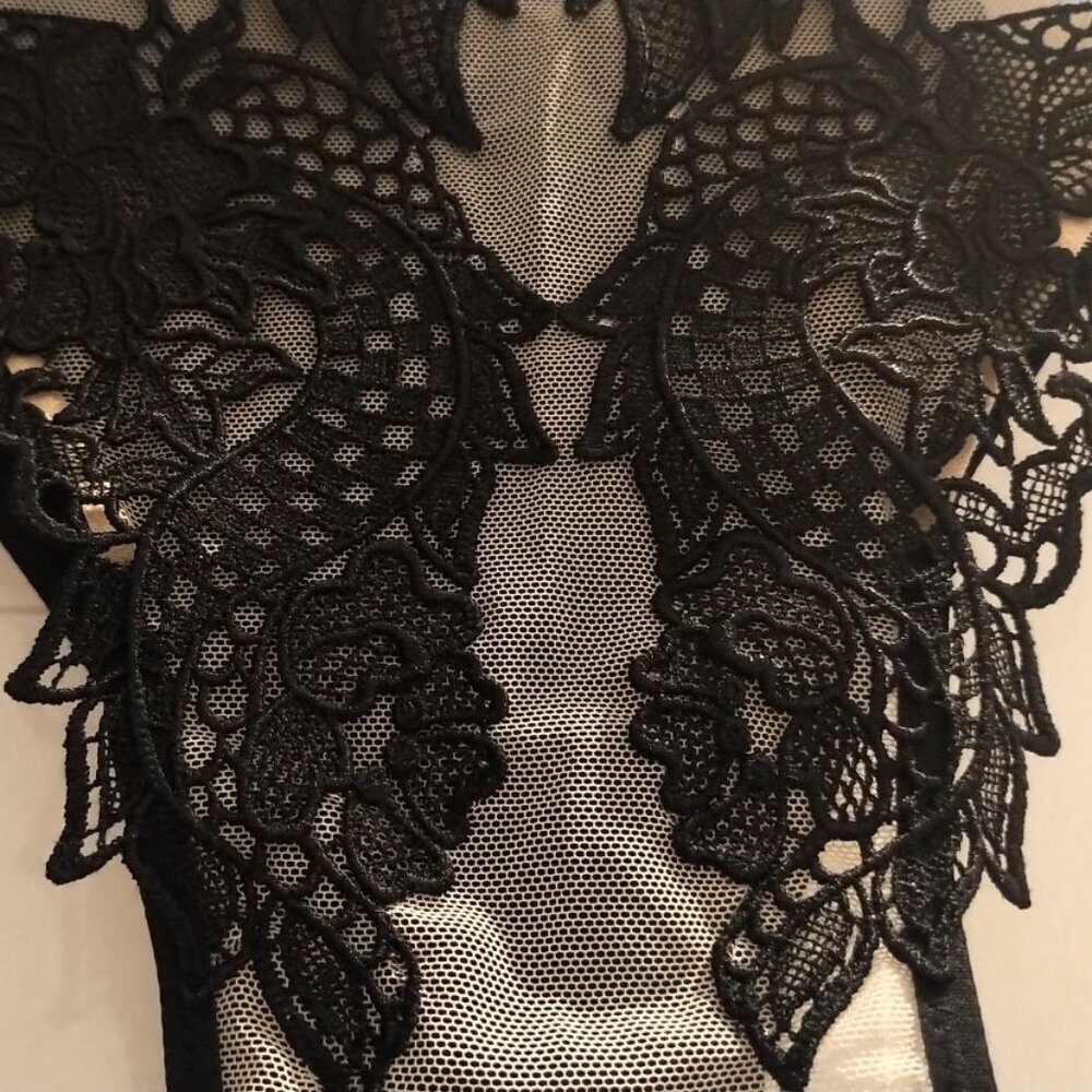 🐞NWT Victoria's Secret LUXE Dragon Applique Cheeky Mesh SEXY Lingerie Black Tan - Picture 6 of 16